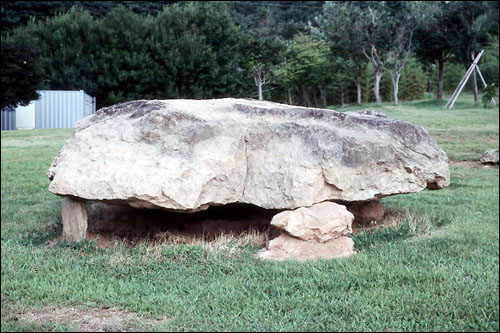 화순의 기반식 고인돌 